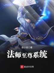 法师至尊系统章节列表