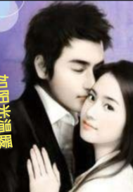 如阳光温暖章节列表