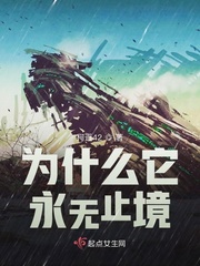 为什么它永无止境章节列表