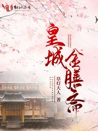 皇城金膳斋章节列表